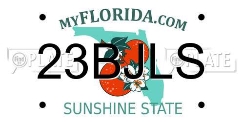 23BJLS Florida License Plate