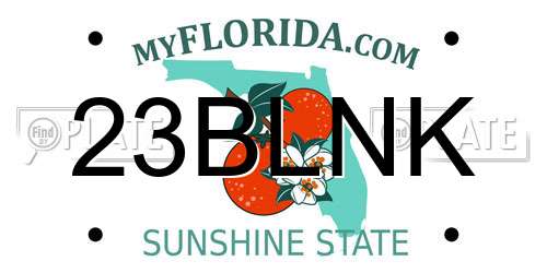 23BLNK Florida License Plate