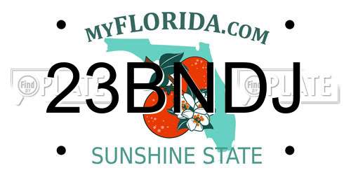 23BNDJ Florida License Plate