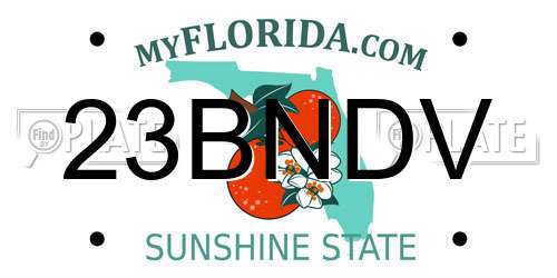 23BNDV Florida License Plate