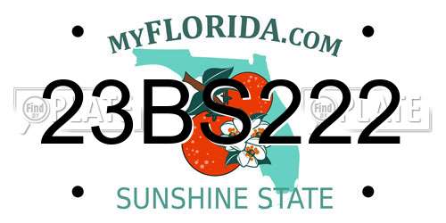 23BS222 Florida License Plate