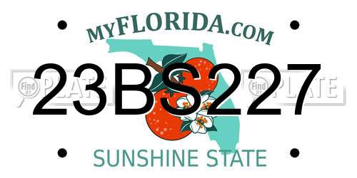 23BS227 Florida License Plate