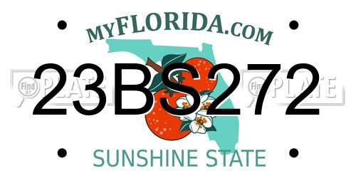 23BS272 Florida License Plate