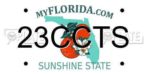 23CCTS Florida License Plate