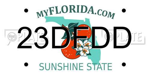 23DFDD Florida License Plate