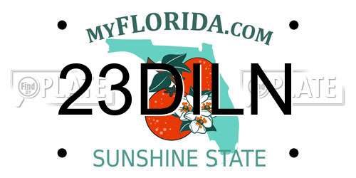 23DILN Florida License Plate
