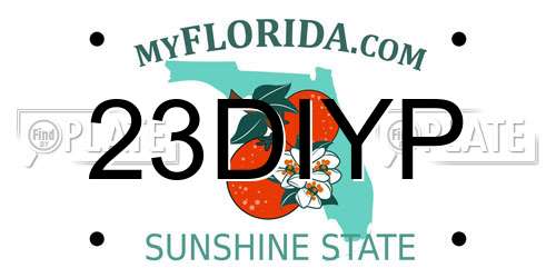 23DIYP Florida License Plate