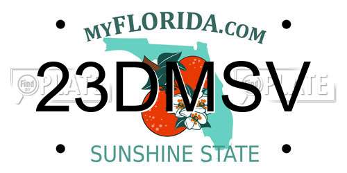 23DMSV Florida License Plate