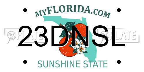 23DNSL Florida License Plate