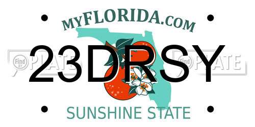 23DRSY Florida License Plate