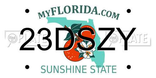 23DSZY Florida License Plate
