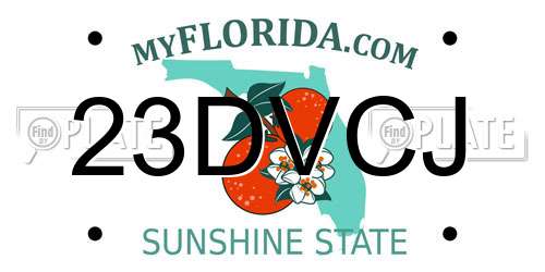 23DVCJ Florida License Plate