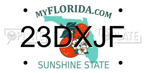23DXJF Florida License Plate