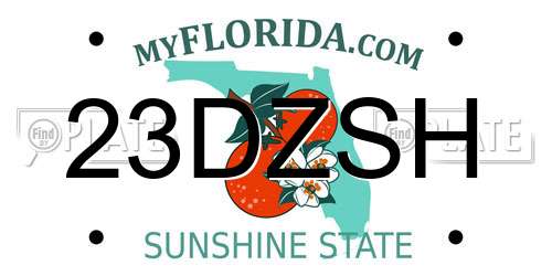 23DZSH Florida License Plate