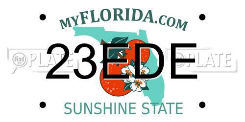 23EDE Florida License Plate