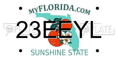 23EEYL Florida License Plate