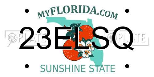23ELSQ Florida License Plate