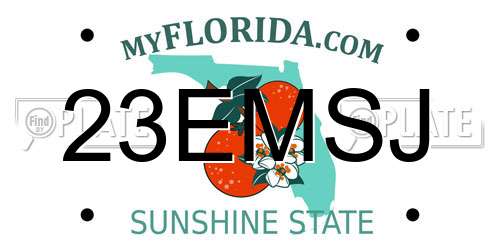 23EMSJ Florida License Plate