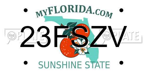 23FSZV Florida License Plate