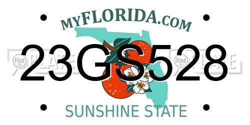 23GS528 Florida License Plate