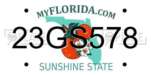 23GS578 Florida License Plate