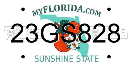 23GS828 Florida License Plate