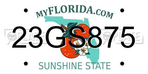 23GS875 Florida License Plate