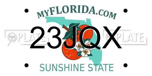 23JQX Florida License Plate
