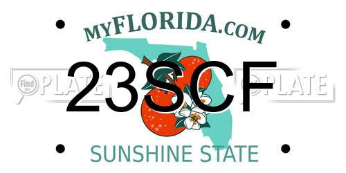 23SCF Florida License Plate