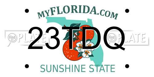23TDQ Florida License Plate