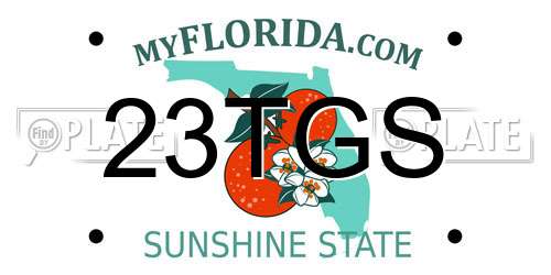 23TGS Florida License Plate