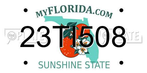 23TI508 Florida License Plate
