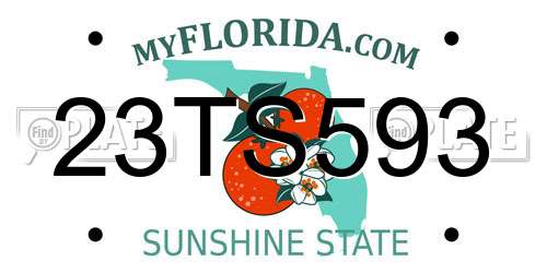 23TS593 Florida License Plate