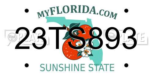 23TS893 Florida License Plate
