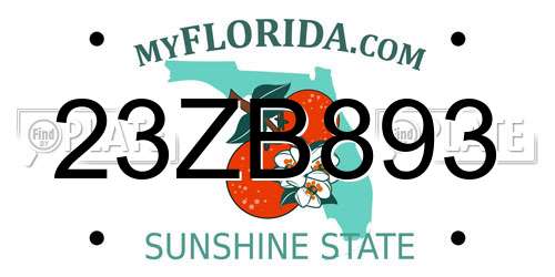 23ZB893 Florida License Plate
