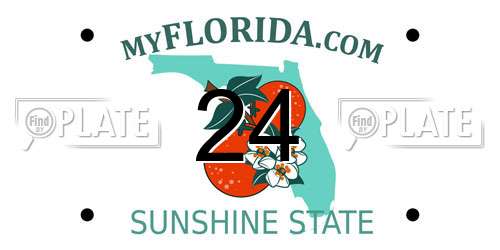24 Florida License Plate