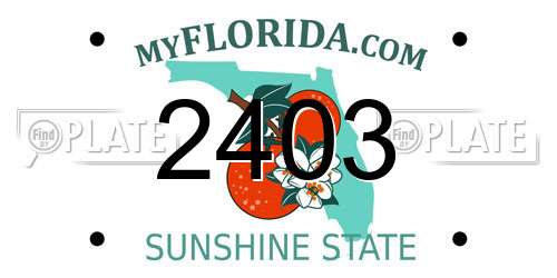 2403 Florida License Plate