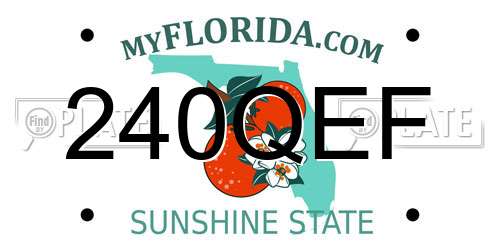 240QEF Florida License Plate