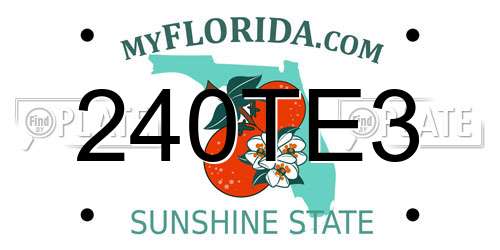 240TE3 Florida License Plate