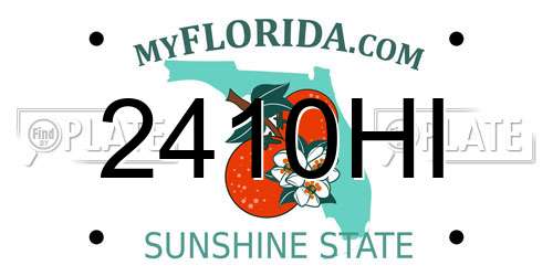 2410HI Florida License Plate