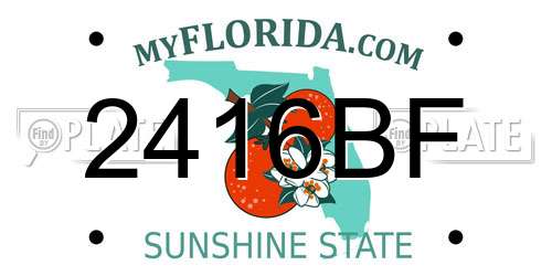 2416BF Florida License Plate