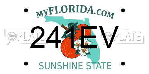 241EV Florida License Plate