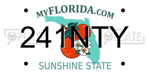241NTY Florida License Plate