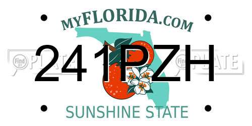 241PZH Florida License Plate