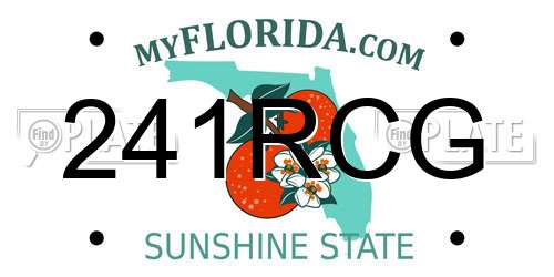 241RCG Florida License Plate