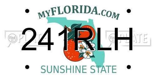 241RLH Florida License Plate