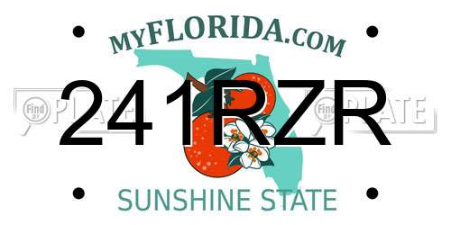 241RZR Florida License Plate