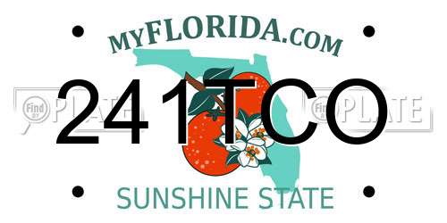 241TCO Florida License Plate