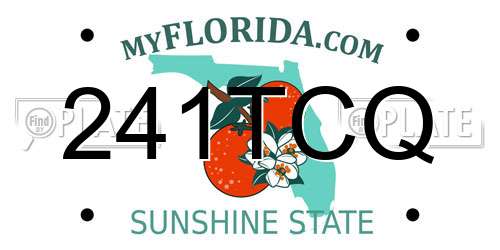 241TCQ Florida License Plate