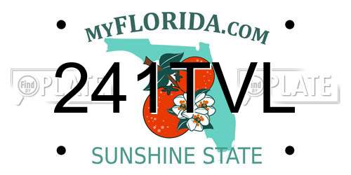 241TVL Florida License Plate